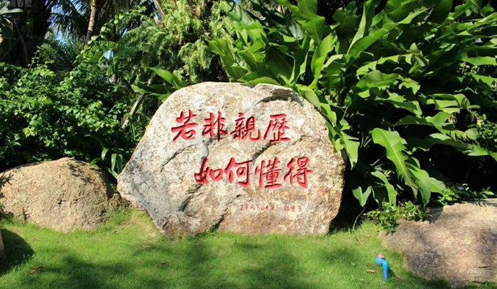 实景图