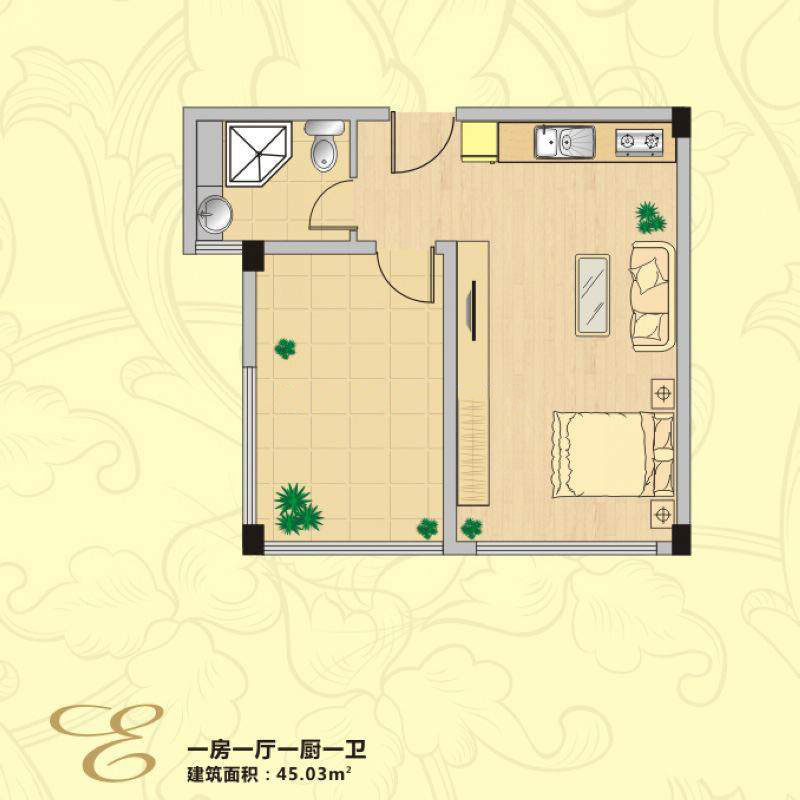 E户型