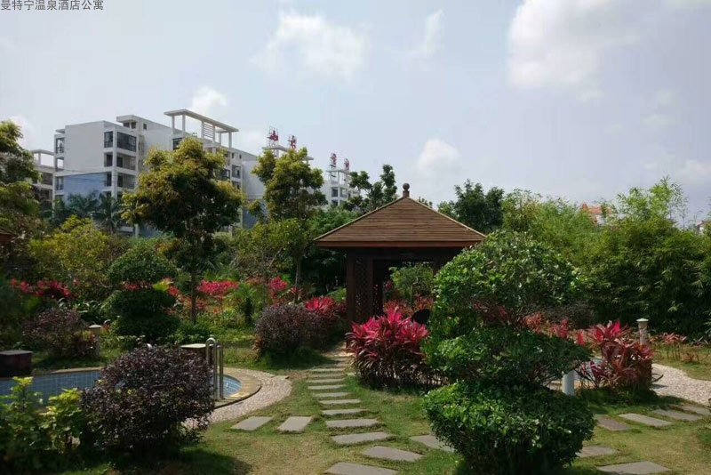 实景图