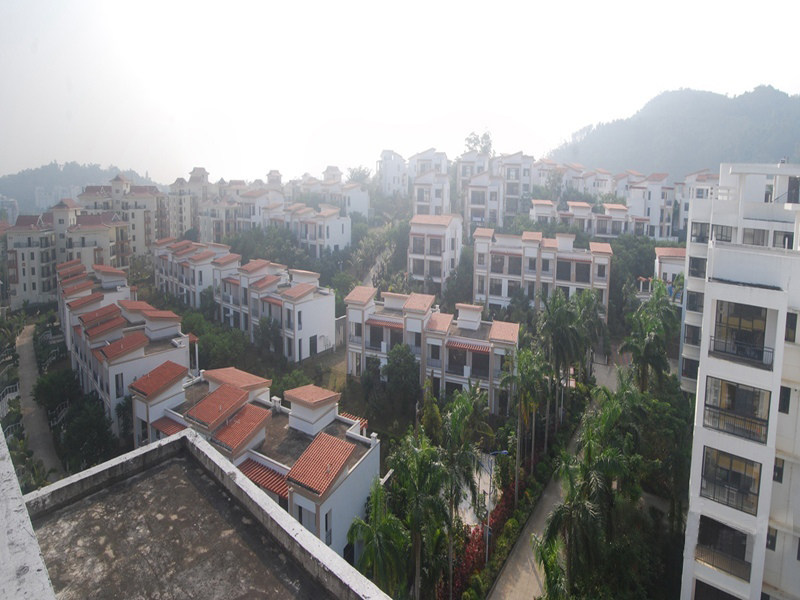 实景图
