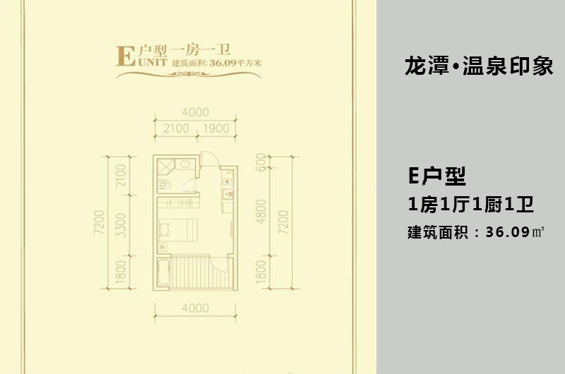 E户型