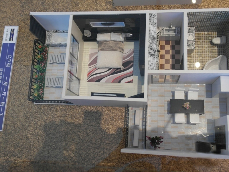 实景图