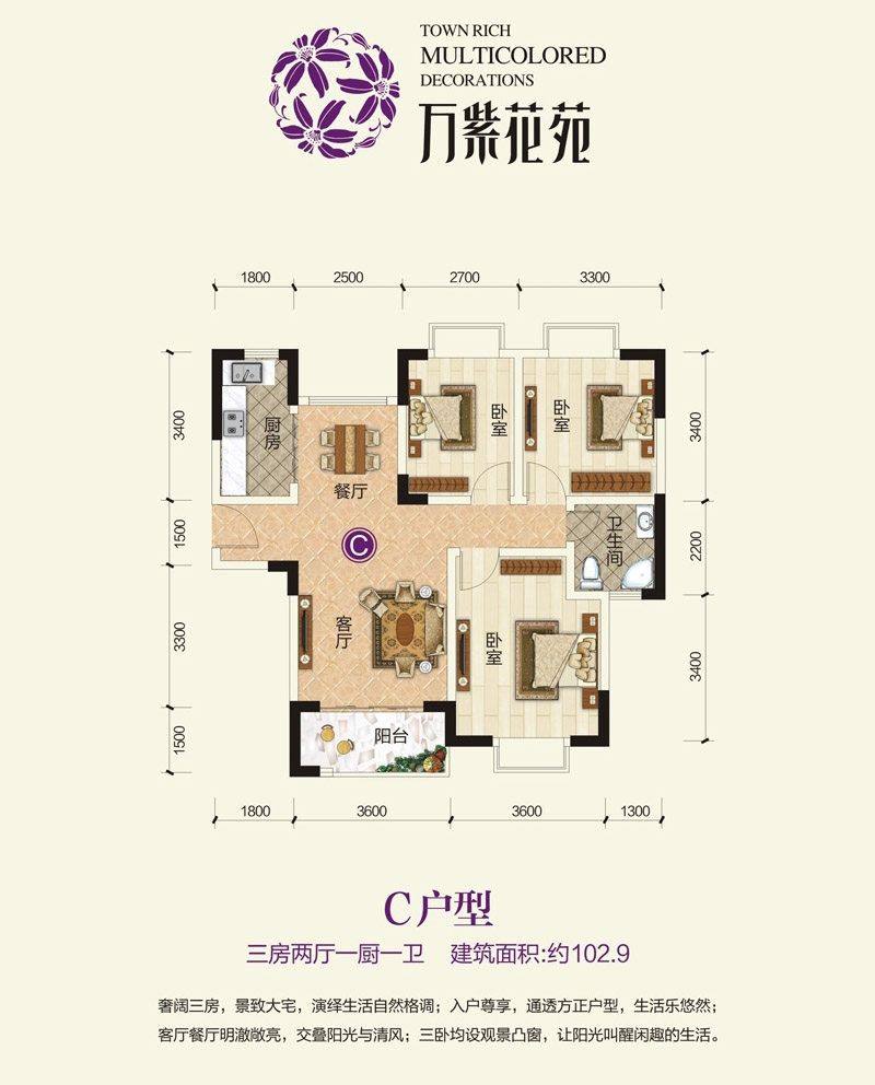 C户型