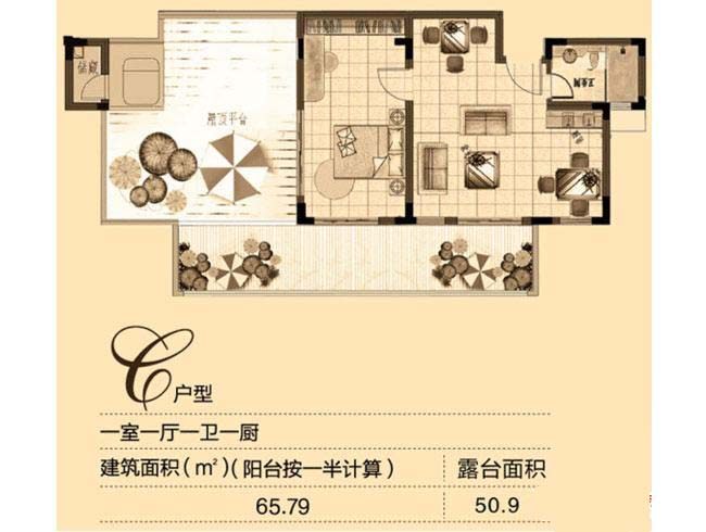 C户型
