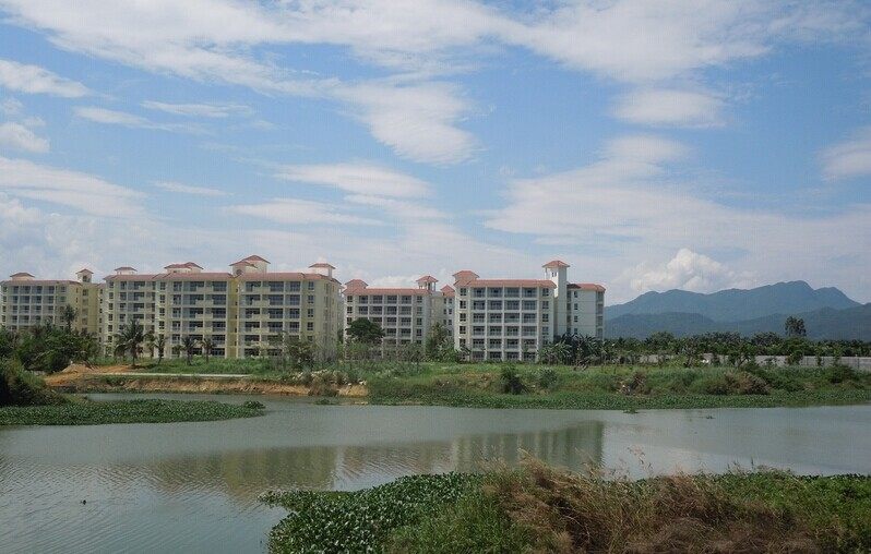 实景图