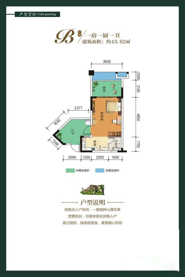 B户型