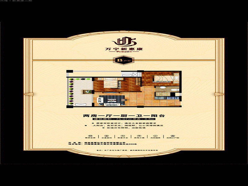 B户型