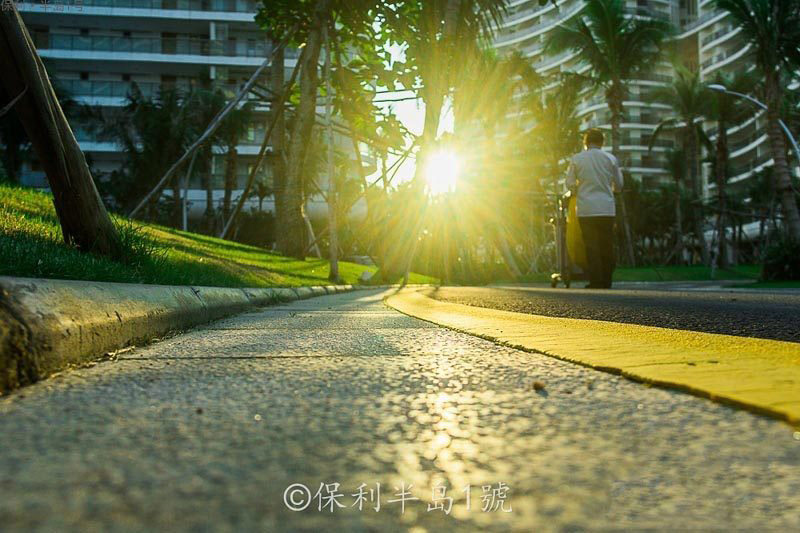 实景图