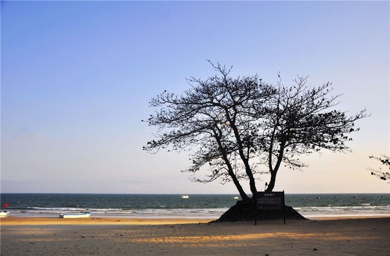 实景图