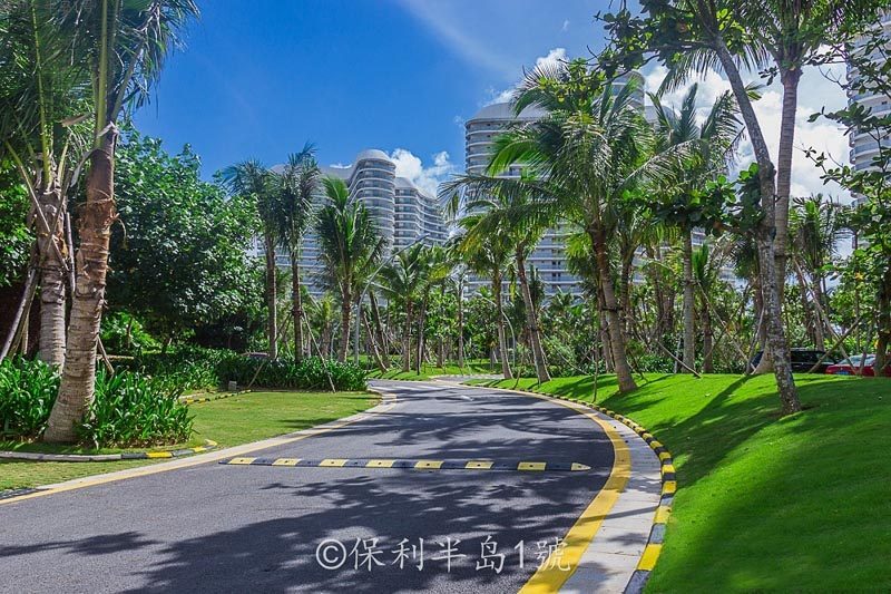 实景图