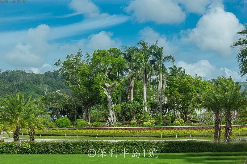 实景图
