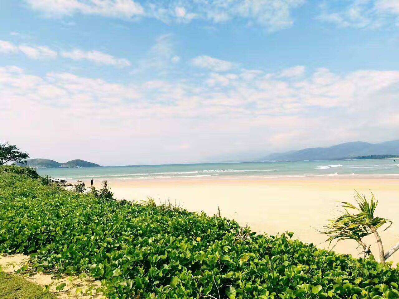 实景图