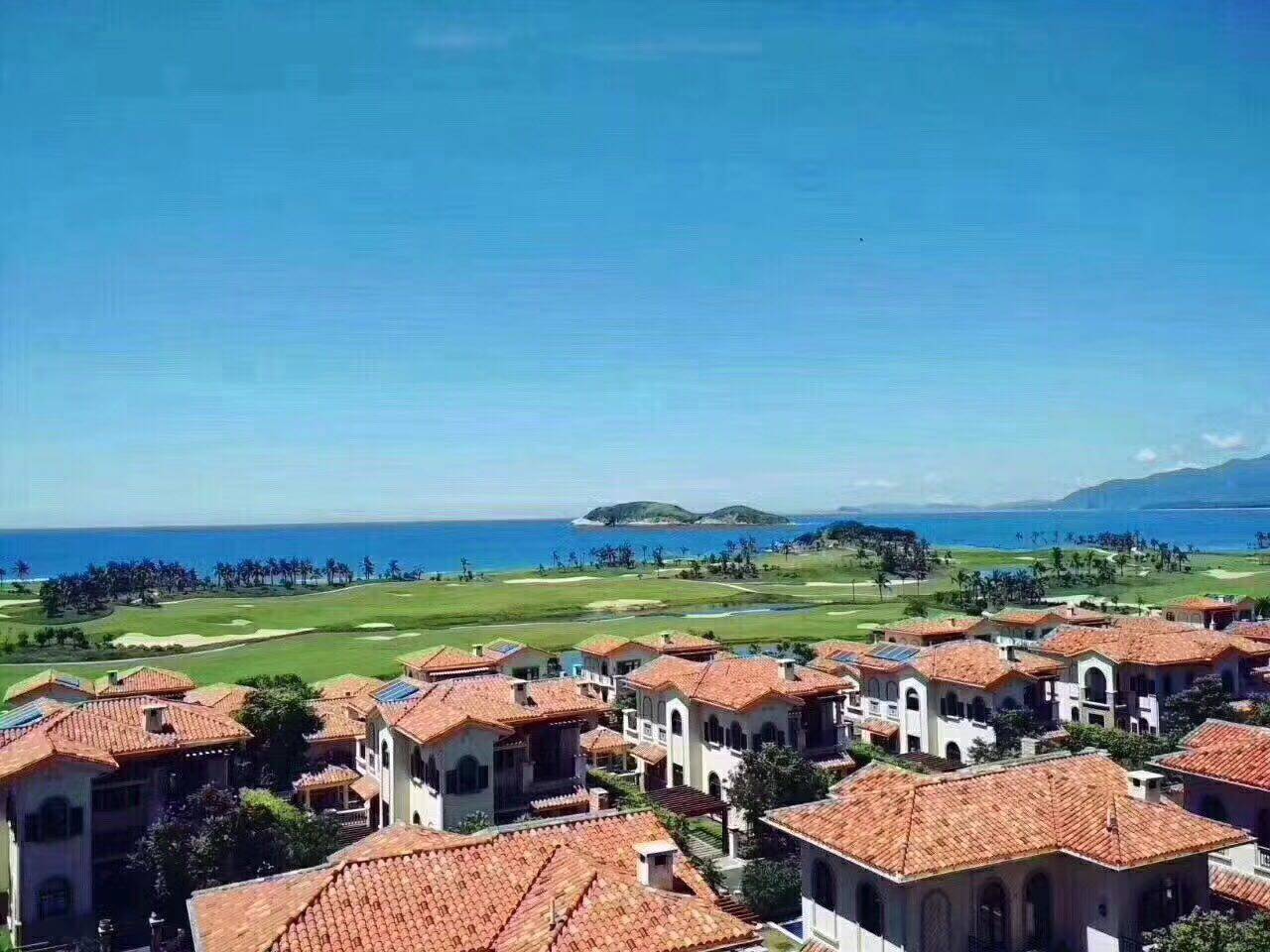 实景图