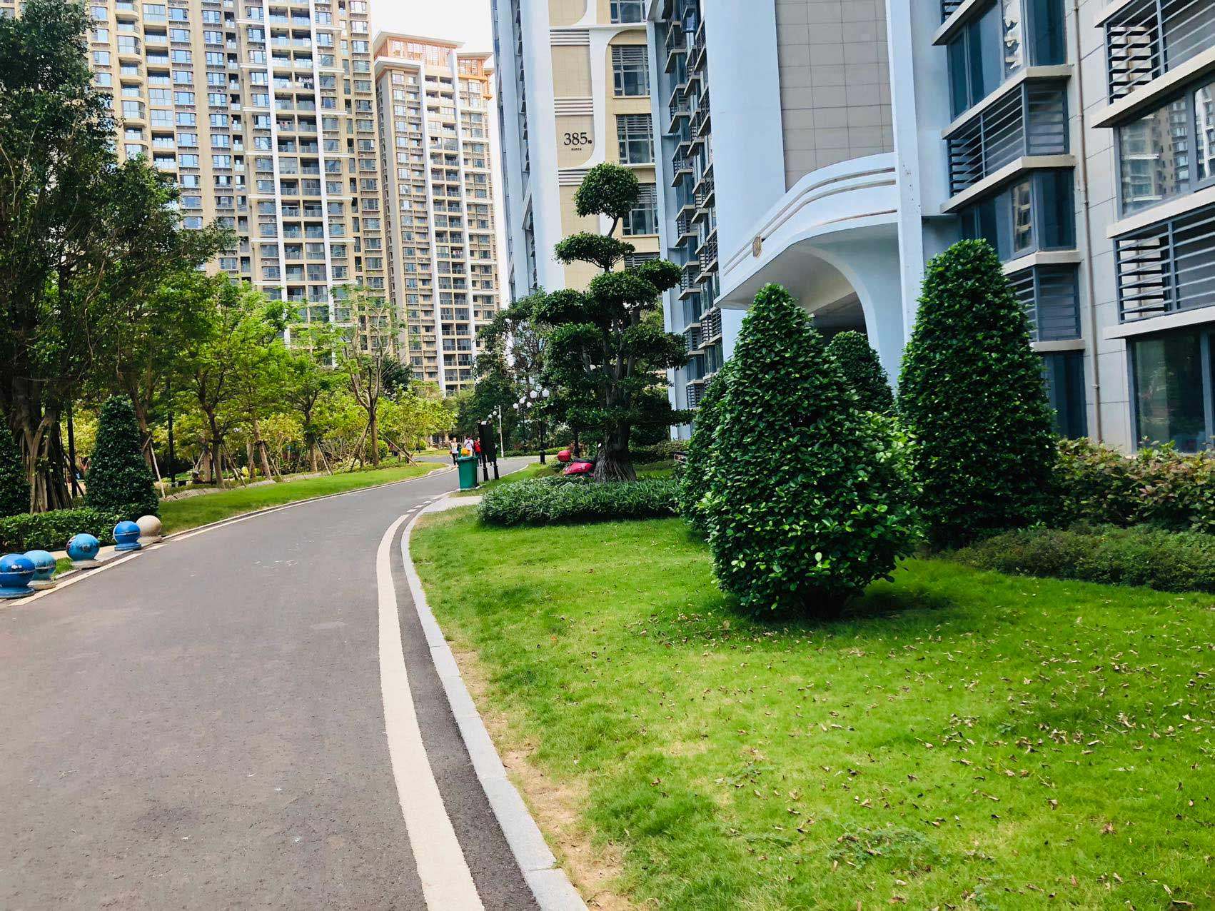实景图