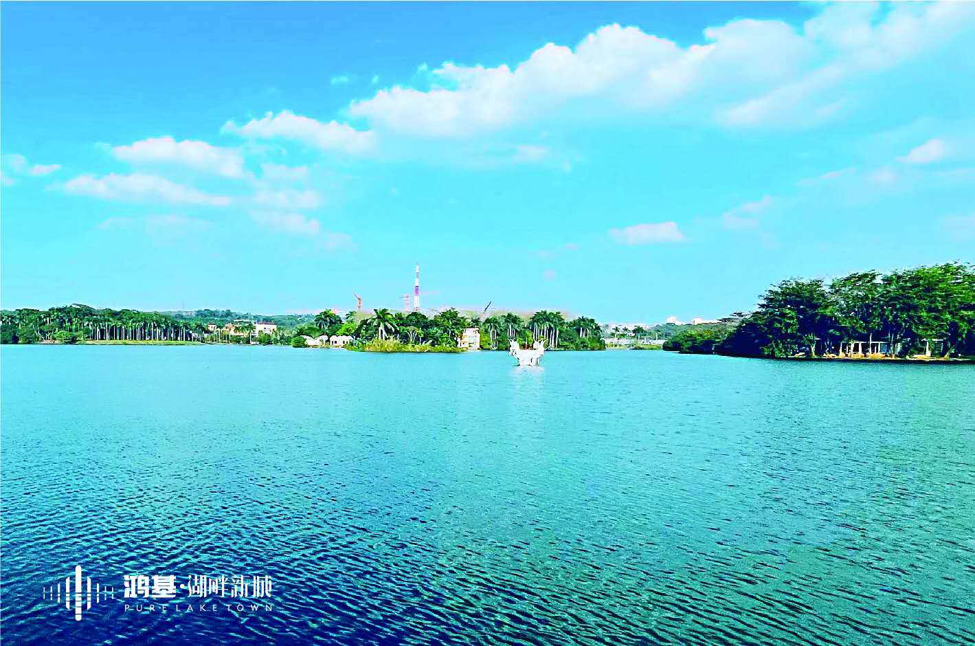 实景图