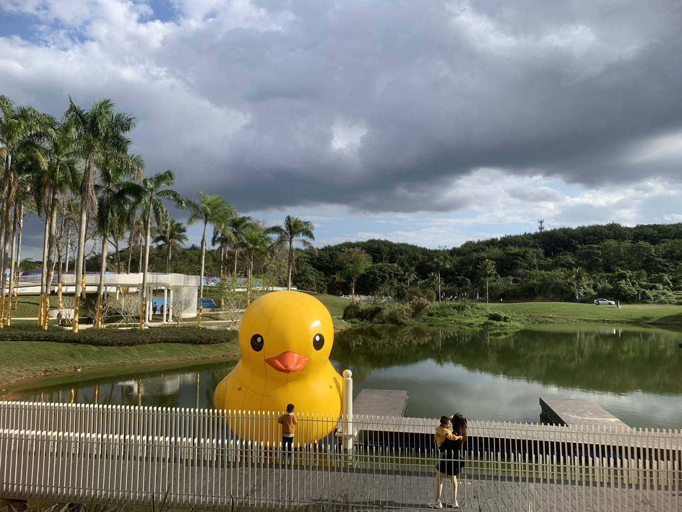 实景图