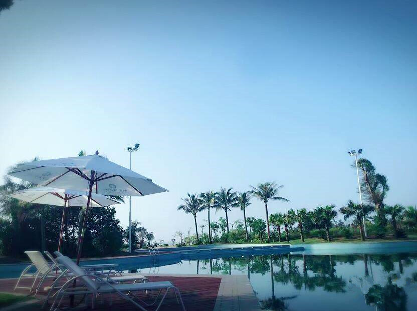 实景图