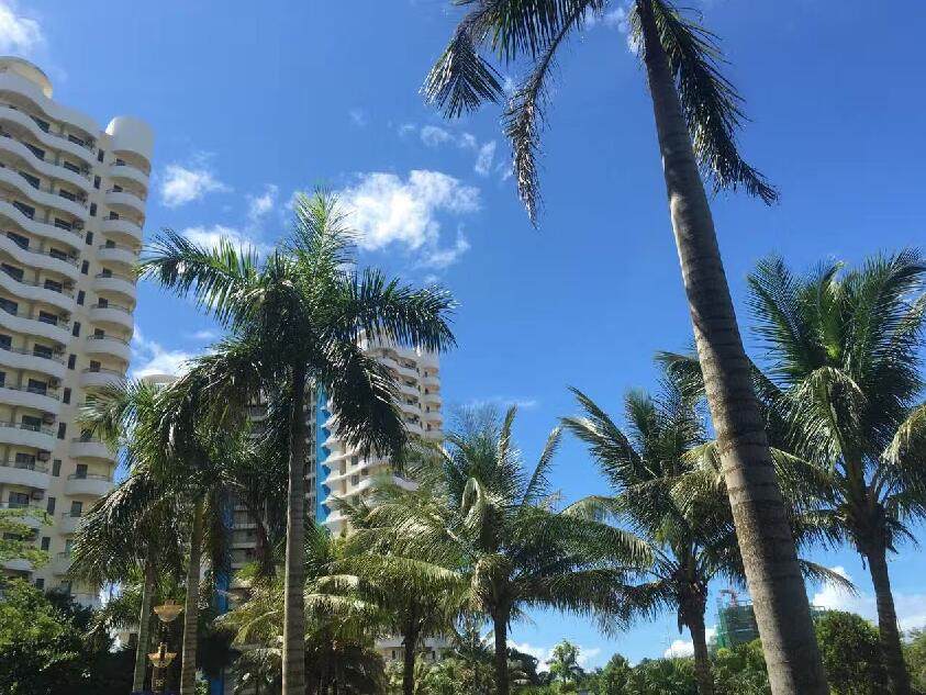 实景图