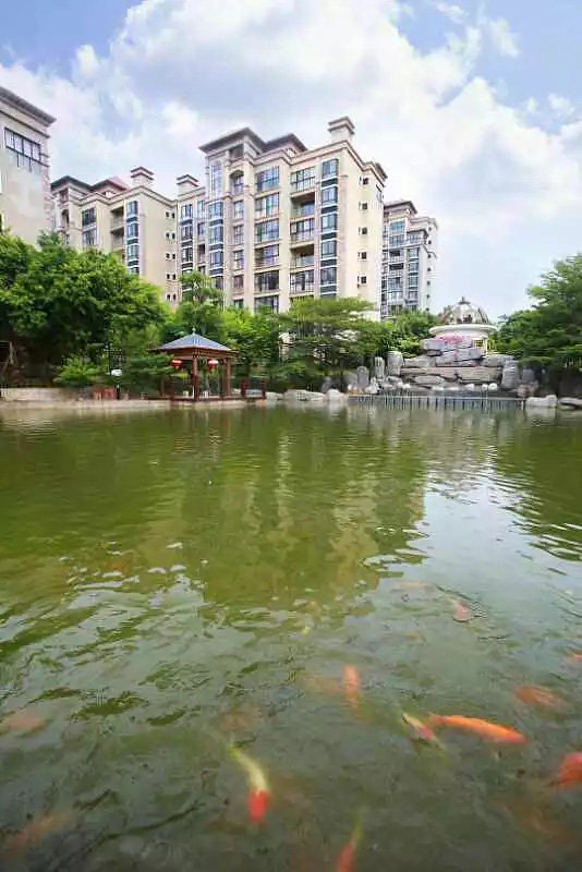 实景图