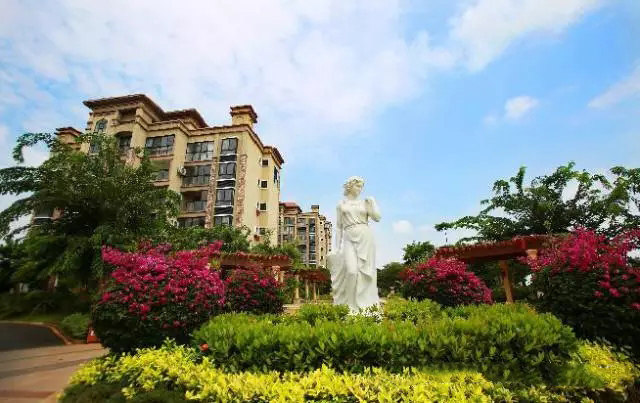 实景图