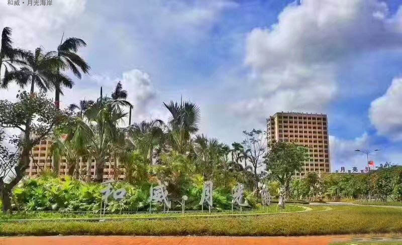 实景图