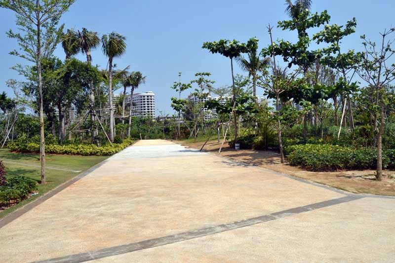 实景图