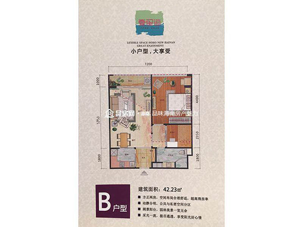 B户型