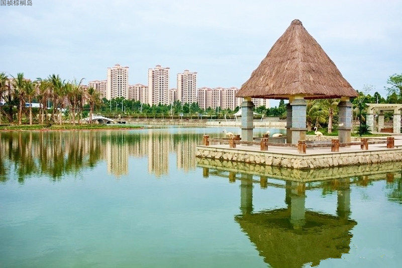 实景图