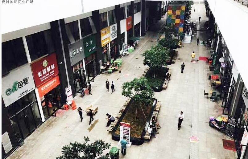 实景图