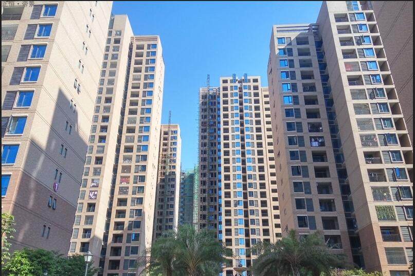 实景图