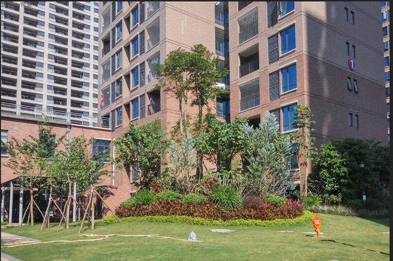 实景图