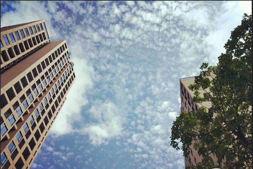 实景图