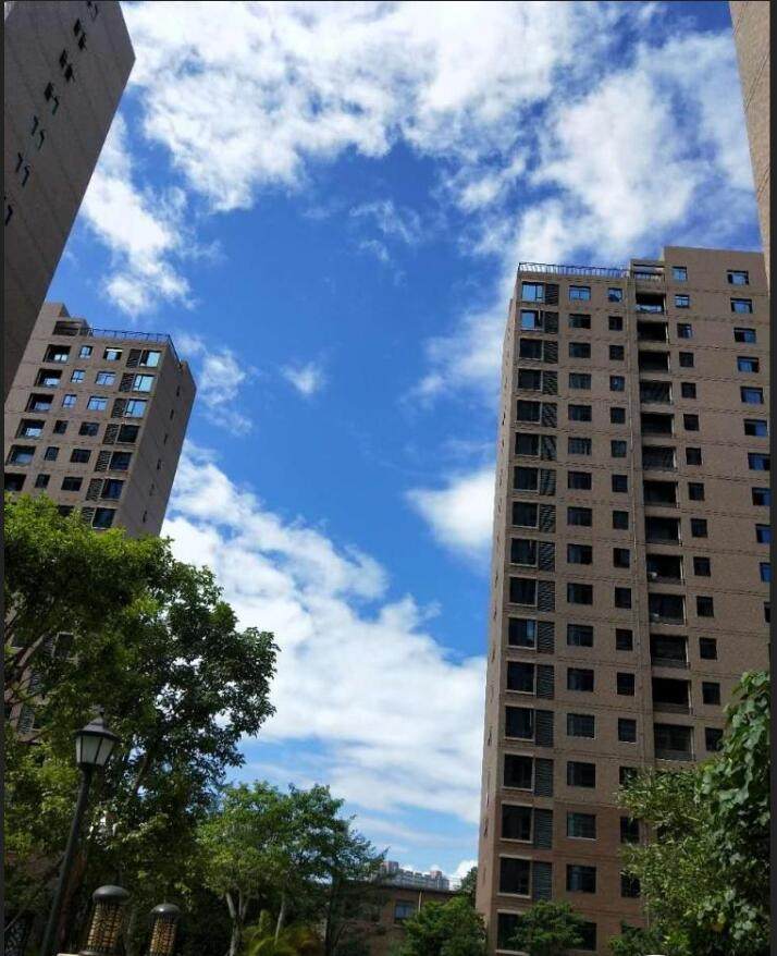 实景图