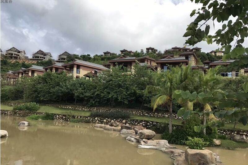 实景图