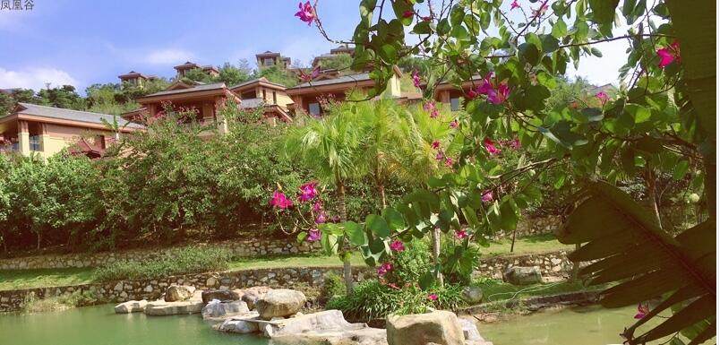 实景图