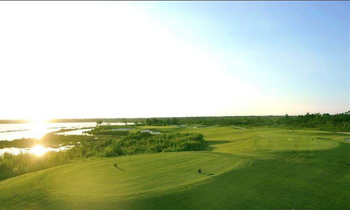 实景图