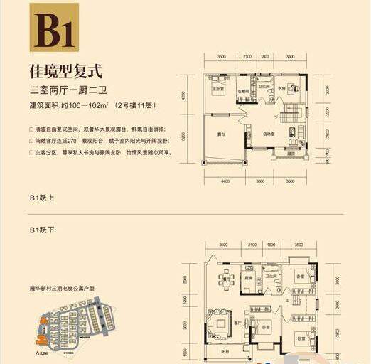 B1户型