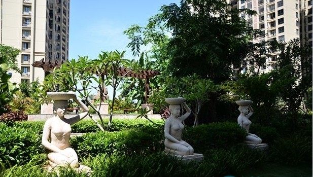实景图