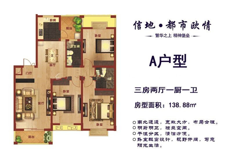 A户型