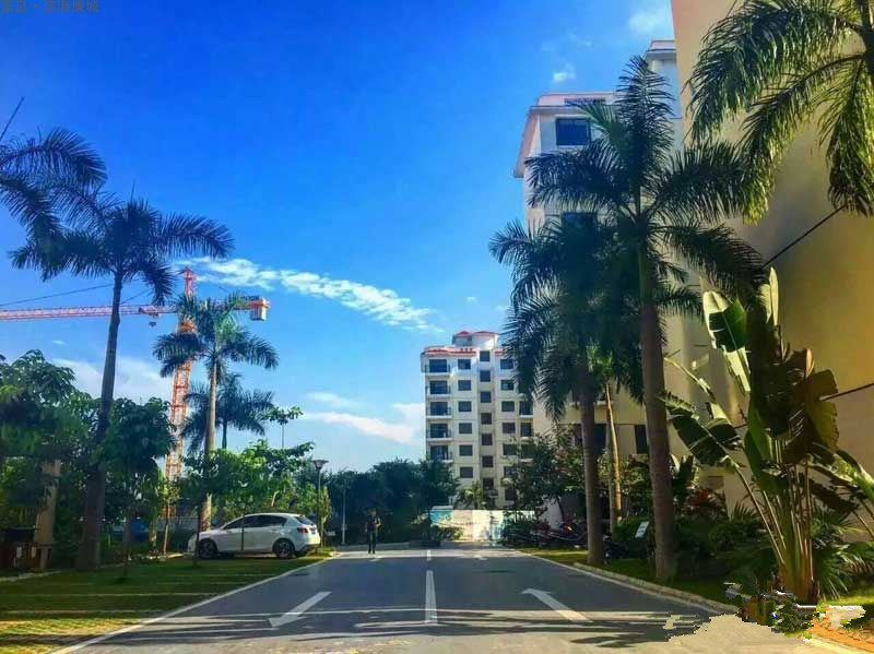 实景图