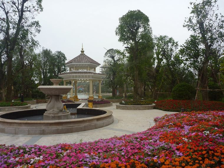 实景图