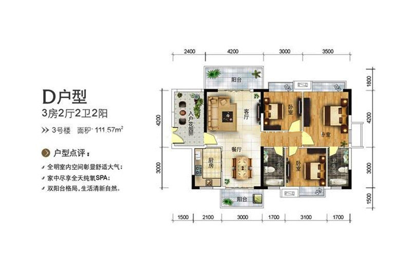 D户型