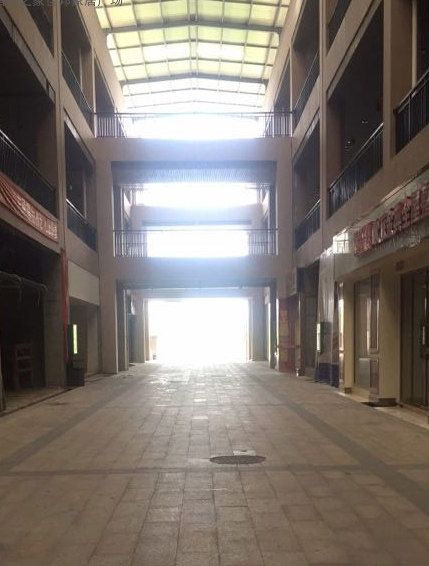 实景图