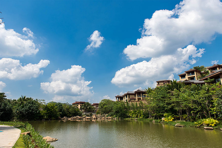 实景图