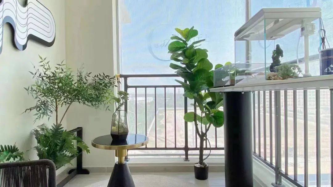 样板间