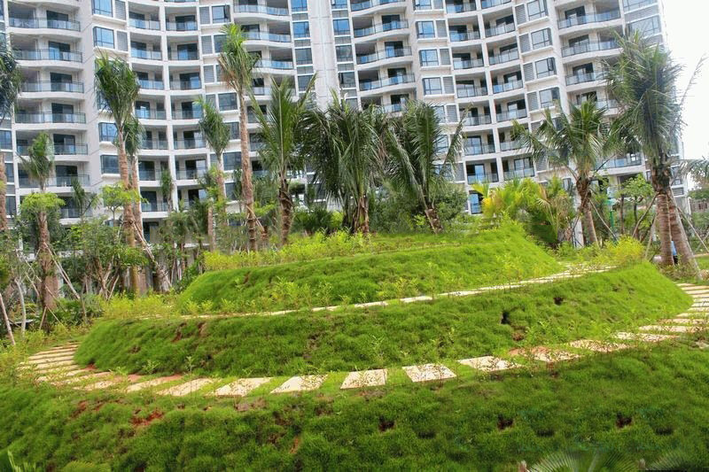 实景图