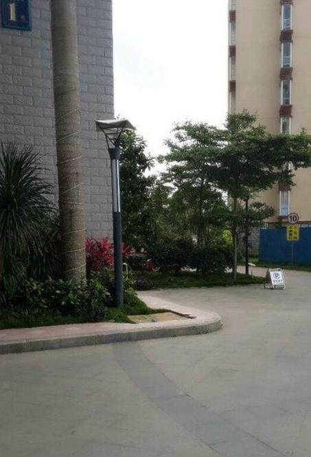 实景图