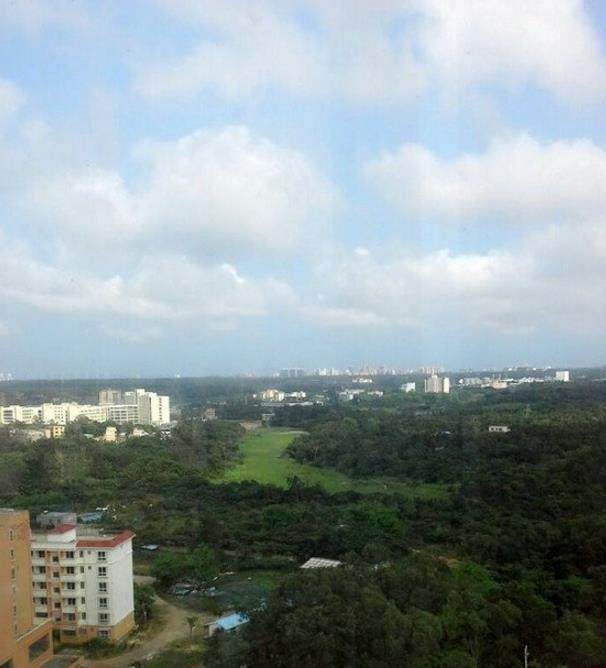 实景图