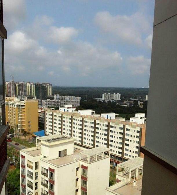 实景图