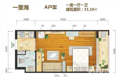 A户型